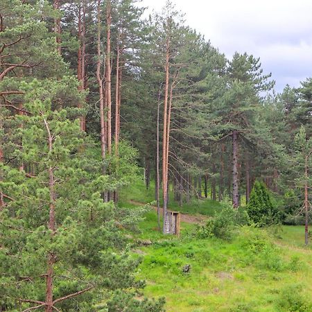 Zlatibor Holiday, Vila Leonardo VI מראה חיצוני תמונה