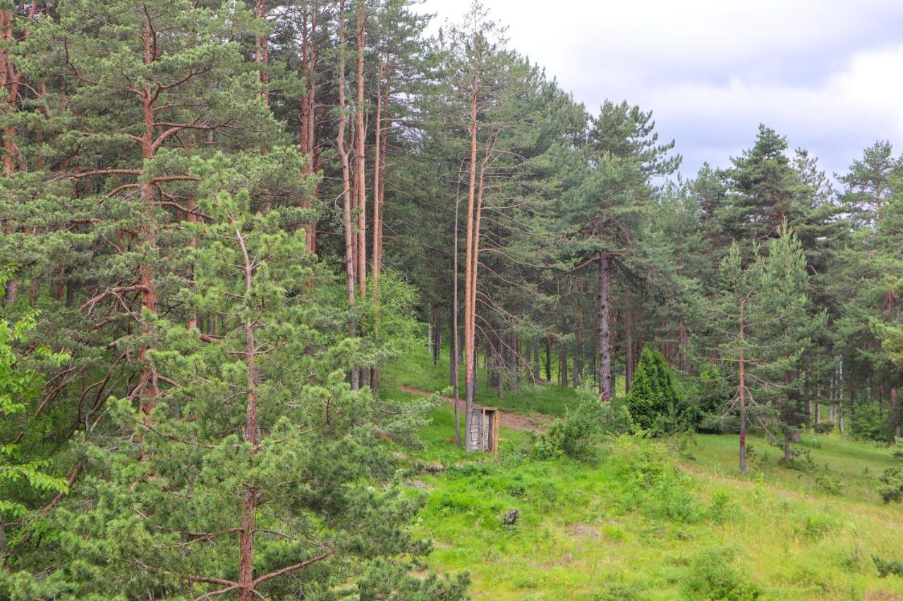 Zlatibor Holiday, Vila Leonardo VI מראה חיצוני תמונה