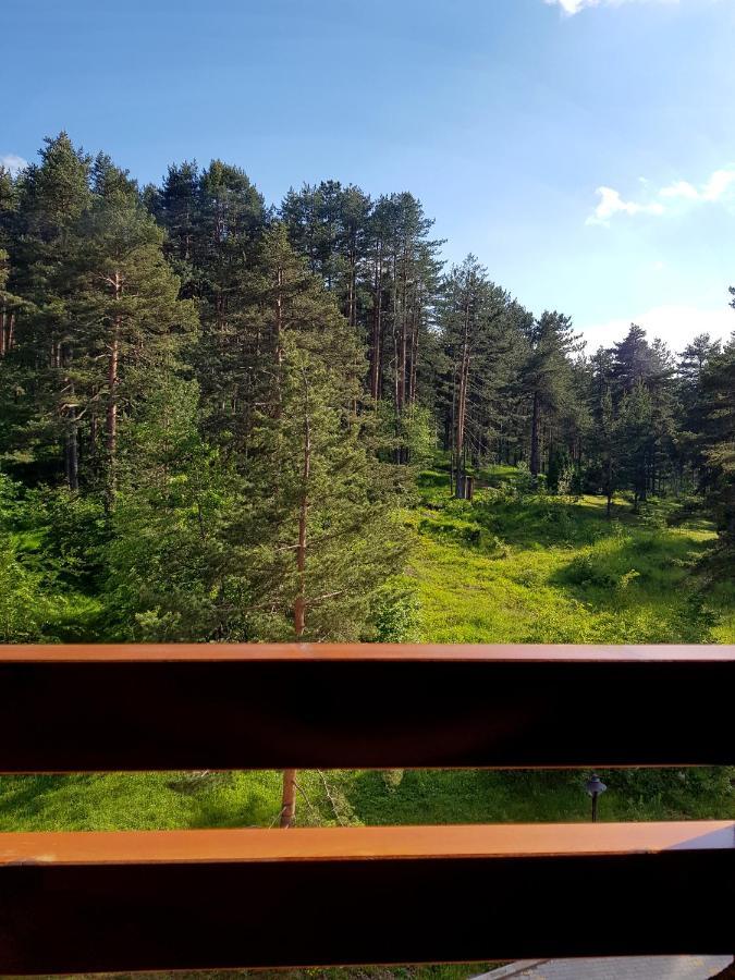 Zlatibor Holiday, Vila Leonardo VI מראה חיצוני תמונה